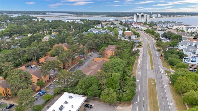 3032 Cape Henry Ct, Virginia Beach, VA 23451 - aerial view of a major roadway, a large body of water, and a tree filled landscape