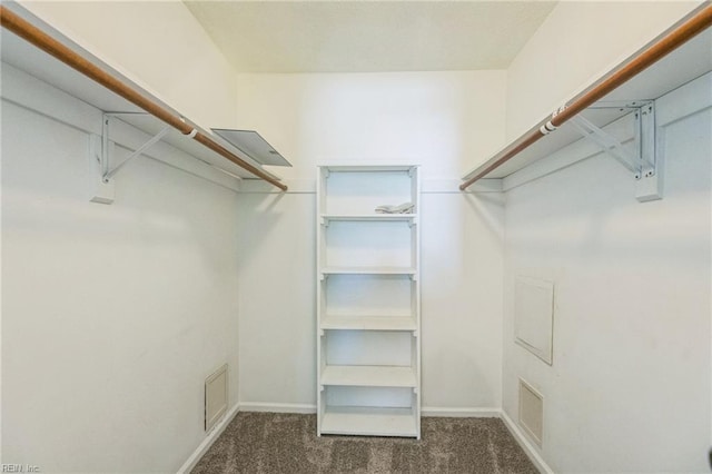 walk in closet with carpet