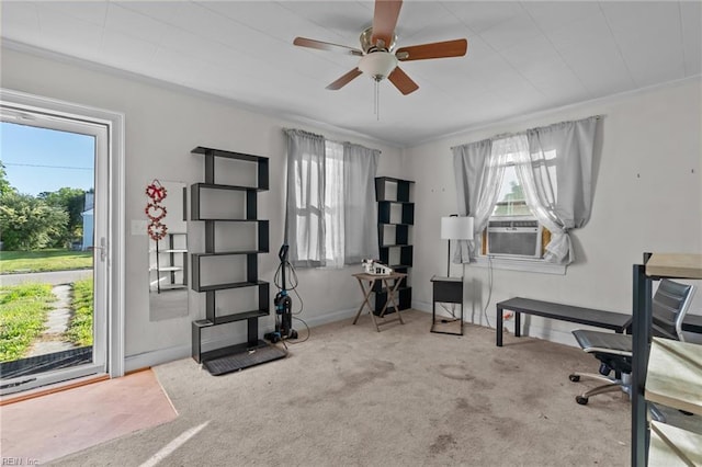 6459 Clare Rd, Norfolk, VA 23513 - carpeted office with healthy amount of natural light and ceiling fan