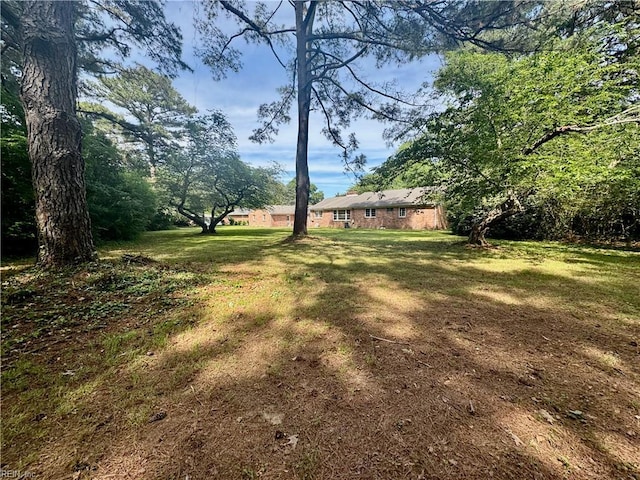 view of grassy yard