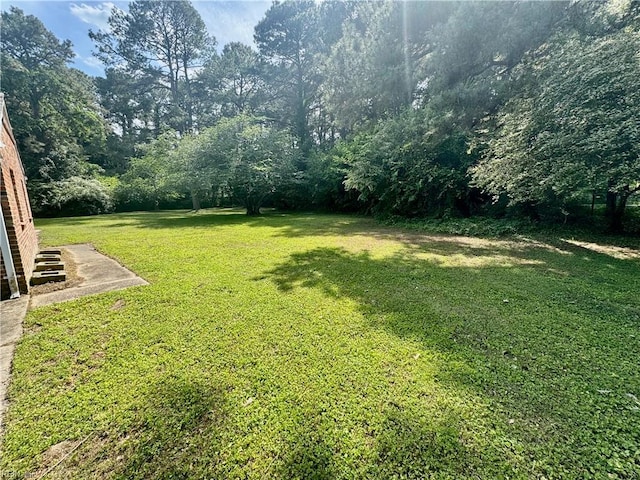 view of green lawn