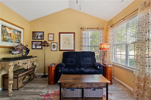 1005 Villas Ct, Virginia Beach, VA 23456 - sitting room with lofted ceiling, wood finished floors, and healthy amount of natural light