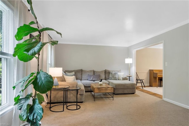 6 Hastings Ln, Williamsburg, VA 23188 - carpeted living room with plenty of natural light, ornamental molding, and baseboards