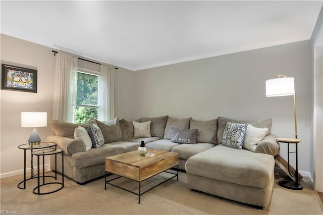 6 Hastings Ln, Williamsburg, VA 23188 - living area featuring crown molding, baseboards, and light carpet