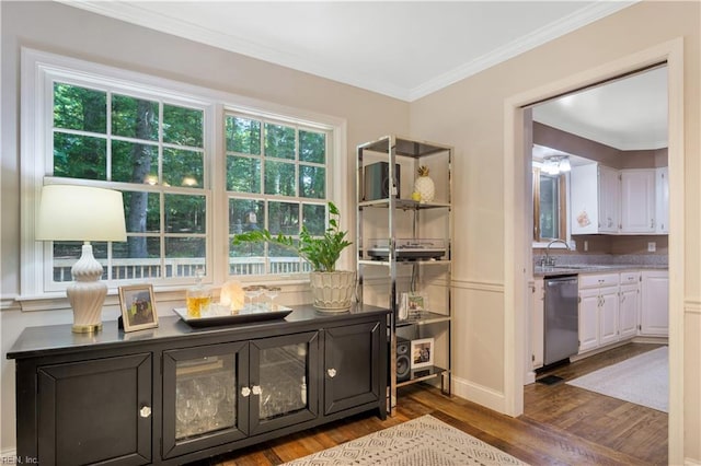 6 Hastings Ln, Williamsburg, VA 23188 - bar with stainless steel dishwasher, dark wood-style flooring, ornamental molding, and a sink