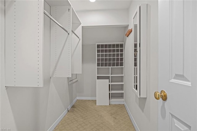 walk in closet with light colored carpet