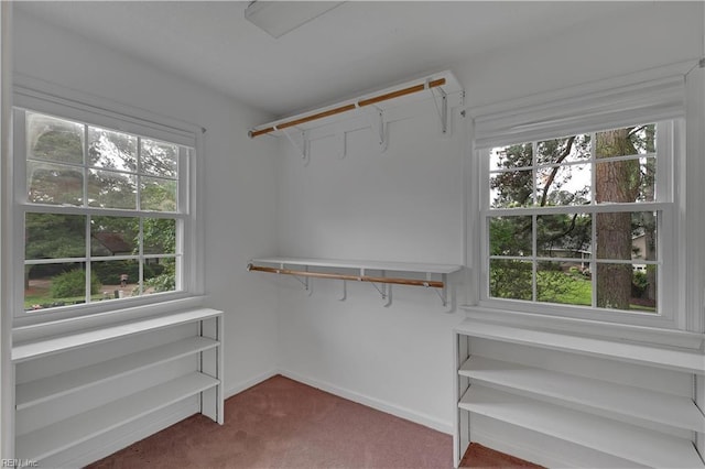 5 Bessies Landing Dr, Poquoson, VA 23662 - walk in closet with dark carpet