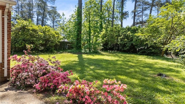 view of green lawn