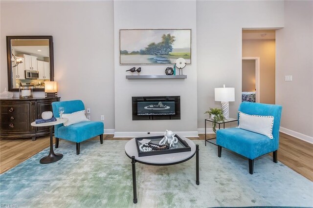 2000 Venture Way Unit B, Suffolk, VA 23434 - living area featuring wood finished floors, baseboards, and a glass covered fireplace