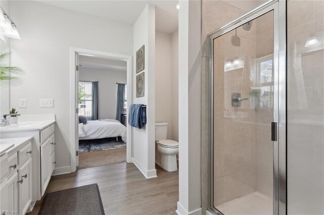 301 Sycamore Walk, Smithfield, VA 23430 - bathroom featuring vanity, a shower stall, wood finished floors, connected bathroom, and toilet