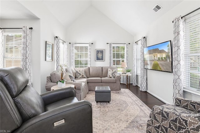 3009 Hogan Way, Suffolk, VA 23435 - living room with wood finished floors and high vaulted ceiling