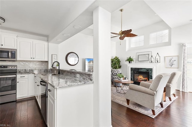 3009 Hogan Way, Suffolk, VA 23435 - kitchen featuring appliances with stainless steel finishes, a sink, light stone countertops, a high end fireplace, and white cabinets