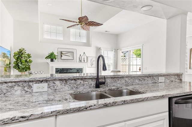 3009 Hogan Way, Suffolk, VA 23435 - kitchen with a sink, dishwasher, light stone countertops, white cabinets, and a fireplace