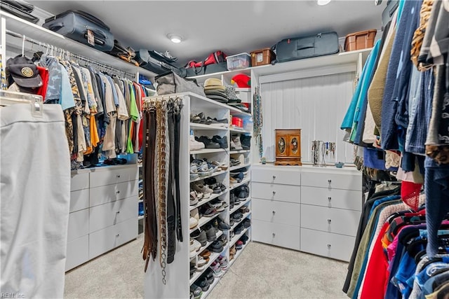 walk in closet featuring carpet