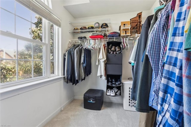 walk in closet featuring carpet floors