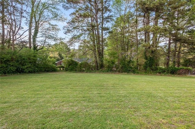 8209 Harlan Dr, Suffolk, VA 23436 - view of grassy yard
