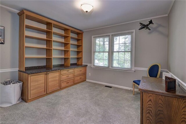 108 Devonshire Dr, Williamsburg, VA 23188 - office area featuring ornamental molding, light carpet, and baseboards