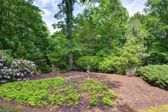 108 Devonshire Dr, Williamsburg, VA 23188 - view of yard