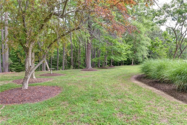 108 Devonshire Dr, Williamsburg, VA 23188 - view of grassy yard featuring a view of trees