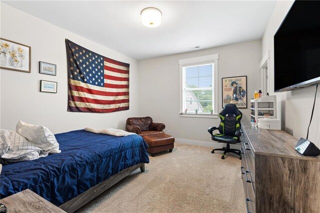 2349 Treesong Trl, Virginia Beach, VA 23456 - bedroom with carpet and baseboards