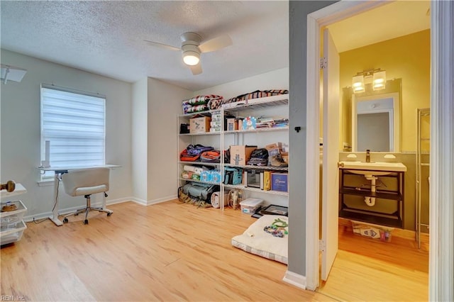 100 Castilian Dr, Virginia Beach, VA 23462 - home office featuring wood finished floors, ceiling fan, a textured ceiling, and baseboards
