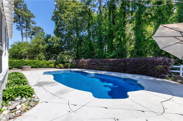 view of pool with a patio