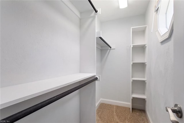 spacious closet with light colored carpet