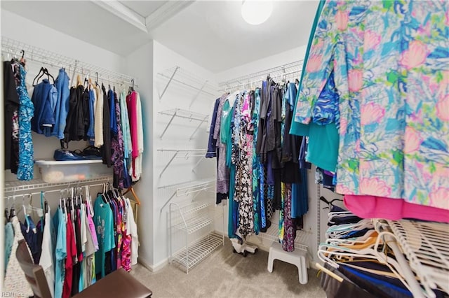 spacious closet featuring carpet flooring