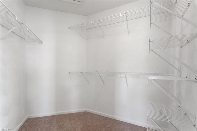 spacious closet with carpet flooring