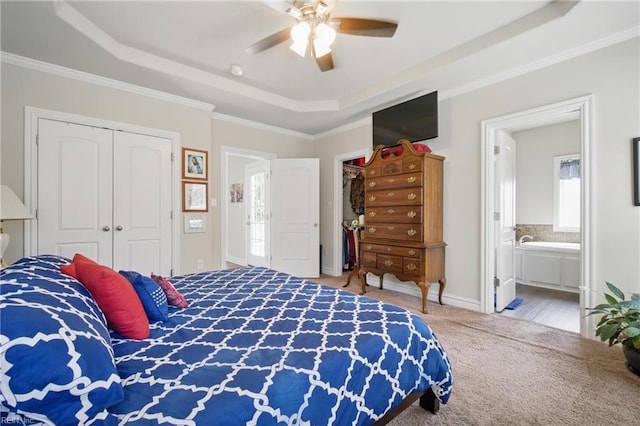 bedroom with a tray ceiling, a closet, carpet floors, ceiling fan, and crown molding