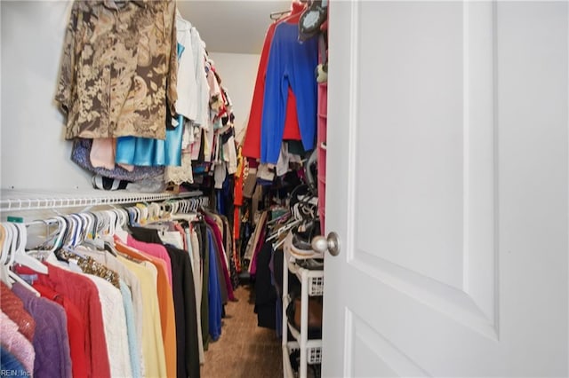 view of walk in closet