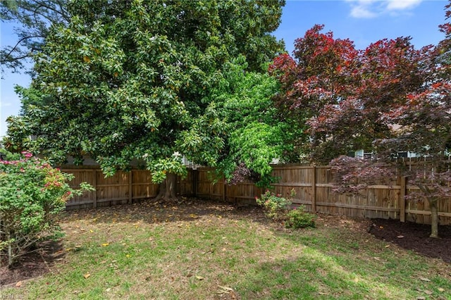 view of yard