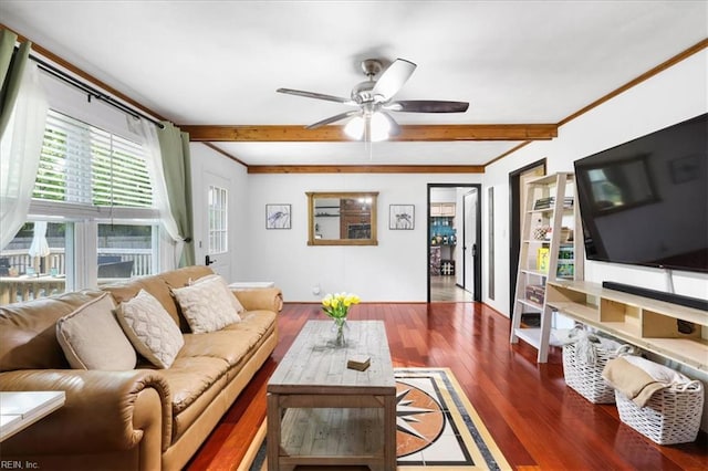 living room featuring beam ceiling, a ceiling fan, wood finished floors, and crown molding