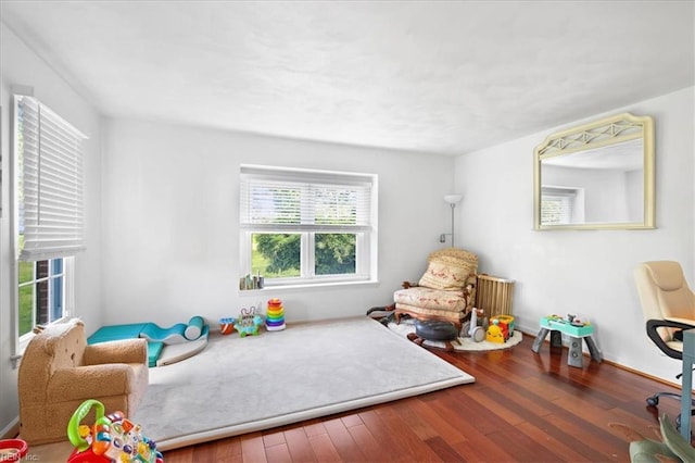 recreation room with plenty of natural light and wood-type flooring