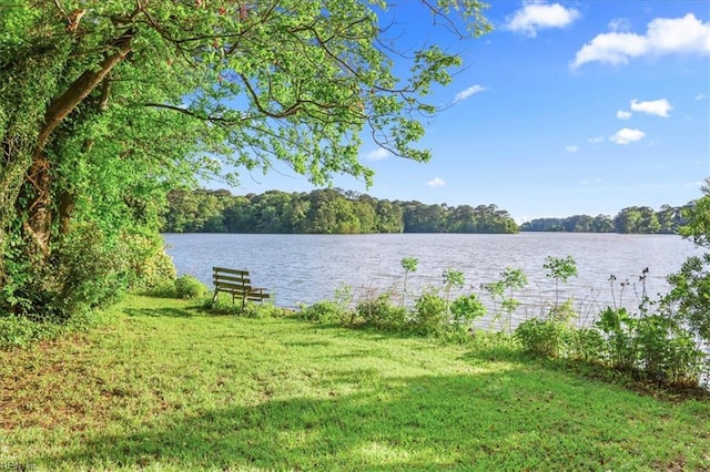 water view featuring a forest