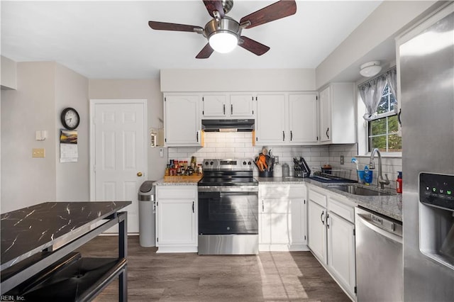 kitchen with stainless steel appliances, under cabinet range hood, a sink, and tasteful backsplash