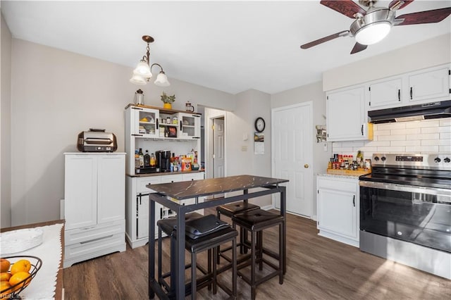 kitchen with stainless steel electric stove, under cabinet range hood, dark wood-style floors, white cabinetry, and decorative backsplash
