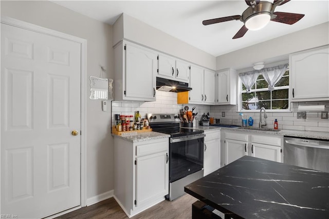 kitchen with appliances with stainless steel finishes, under cabinet range hood, a sink, tasteful backsplash, and wood finished floors
