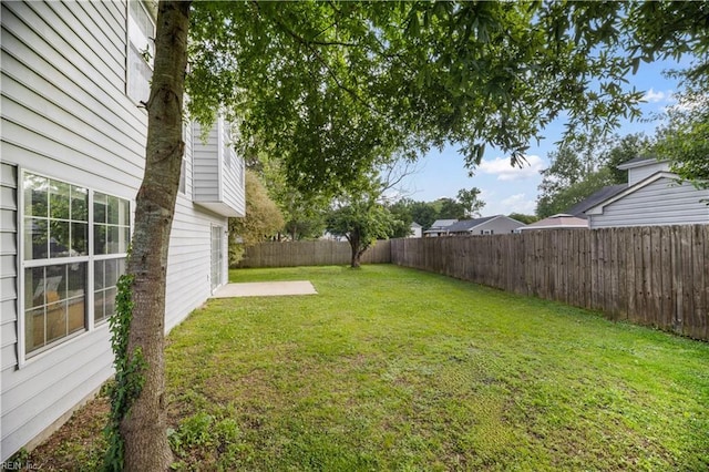 view of yard featuring a patio area