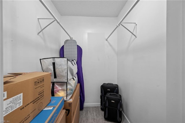3513 Brigita Ct, Virginia Beach, VA 23453 - view of storage