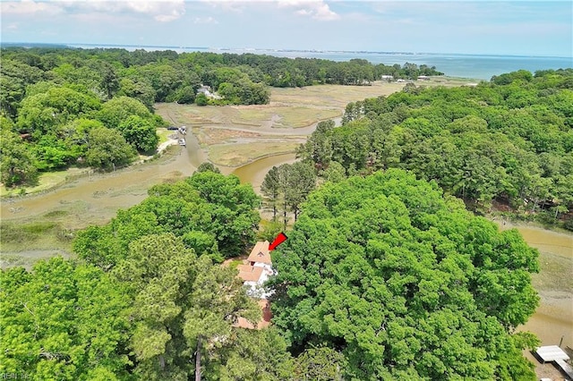 2029 Heron Ct, Suffolk, VA 23433 - view of property location featuring a large body of water