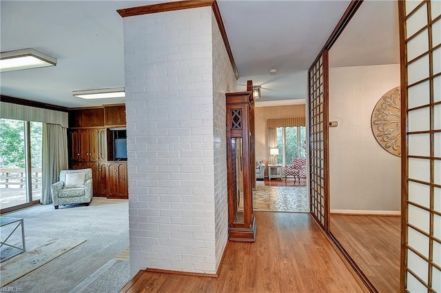 2029 Heron Ct, Suffolk, VA 23433 - hallway featuring plenty of natural light, wood finished floors, baseboards, and ornamental molding