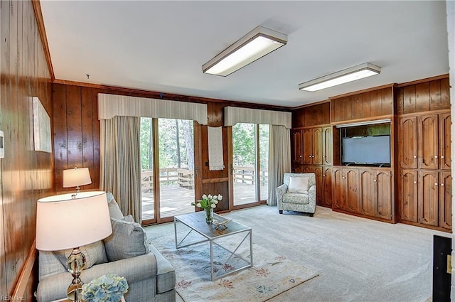 2029 Heron Ct, Suffolk, VA 23433 - living room with light colored carpet and wooden walls