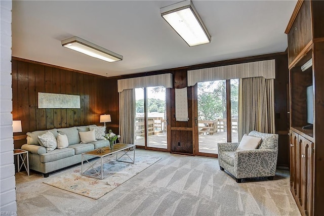 2029 Heron Ct, Suffolk, VA 23433 - living room featuring light carpet and wood walls