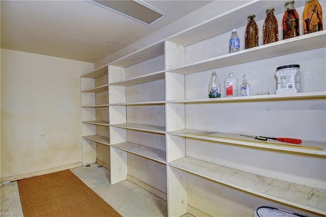 2029 Heron Ct, Suffolk, VA 23433 - view of storage