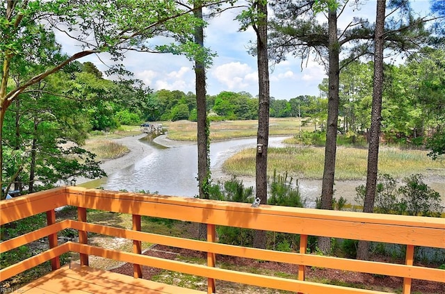 2029 Heron Ct, Suffolk, VA 23433 - water view featuring a tree filled landscape