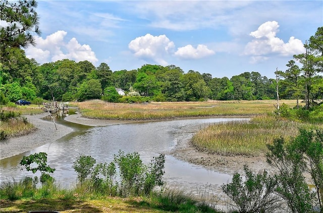 2029 Heron Ct, Suffolk, VA 23433 - surrounding community with a water view and a forest view