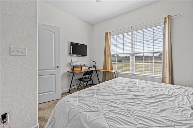 254 Mcpherson Rd, South Mills, NC 27976 - bedroom with carpet flooring, baseboards, and a textured wall