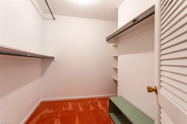 205 Shackleford Rd, Yorktown, VA 23693 - spacious closet with carpet flooring