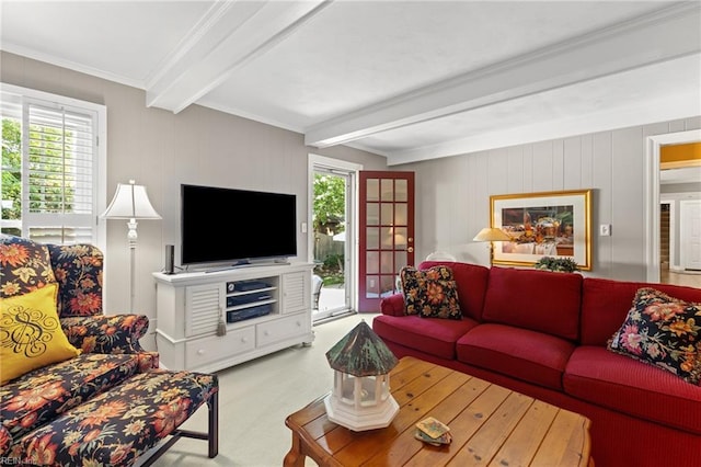 living room featuring healthy amount of natural light, beam ceiling, carpet, and ornamental molding
